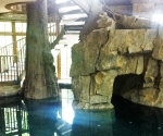 Indoor Treehouse Pool
