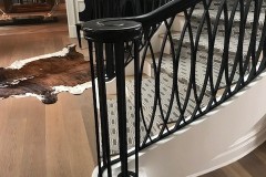 Front Entry Iron railings